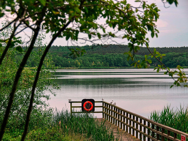 achterland-koelpinsee-usedom