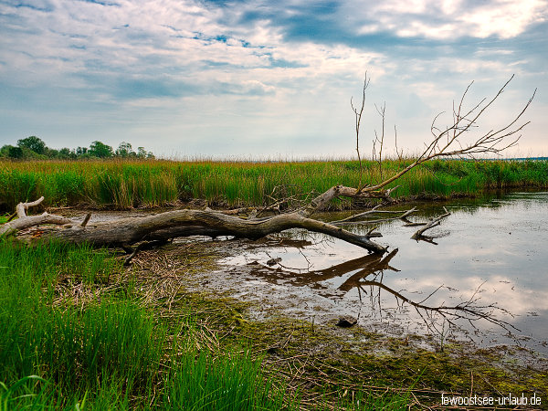 achterland-usedom-gnitz