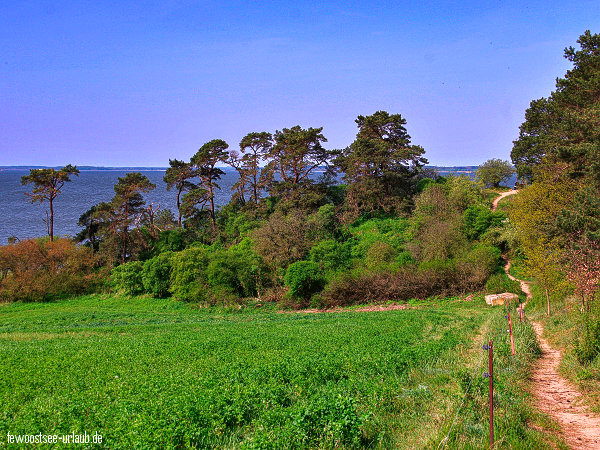 achterwasser-usedom-loddin