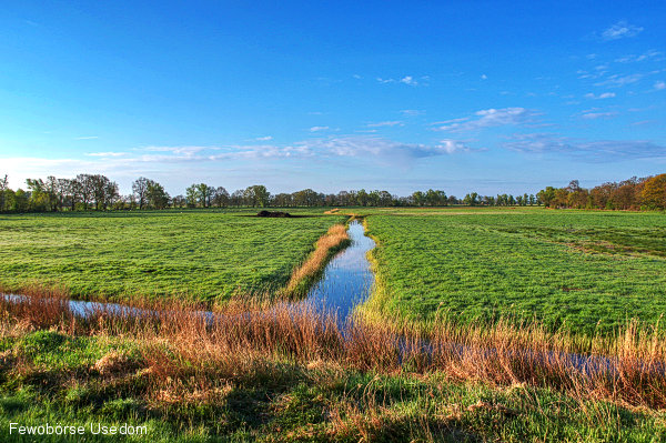 gnitz-3-usedom