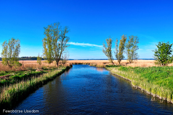 gnitz-krumminerwiek-usedom